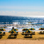 IMG_1368-1.jpeg